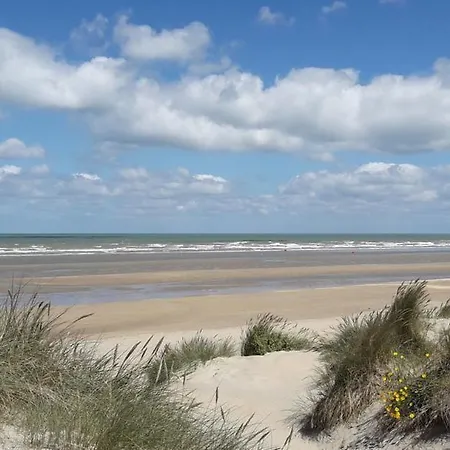 Toplocatie In Rustige Buurt De Panne